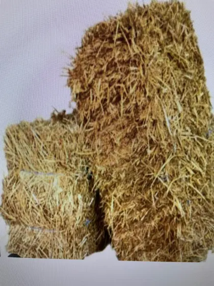 Stroh in Kleinballen - GRATIS für Selbstabholer