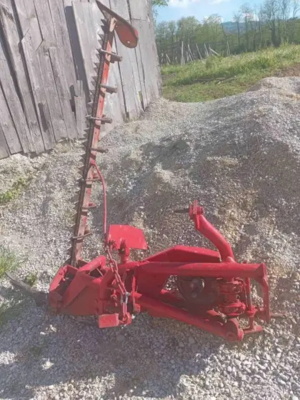 Busatis Bidux 1,60 m