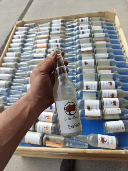 Flaschen 0,33 l KK Longneck