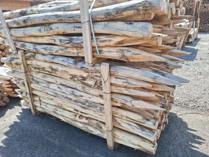 Robinienpfähle 2 m 8–10 cm, € 936,-/Palette, sofort verfügbar