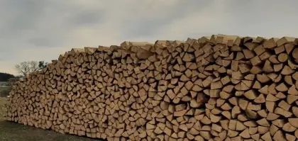 Brennholz Buche