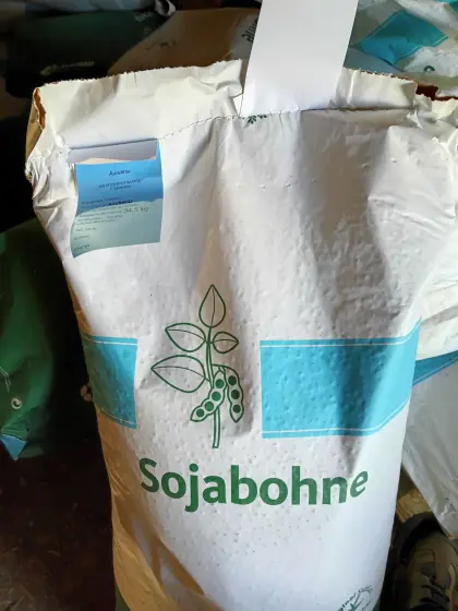 Sonstige Sojabohne Aurelina