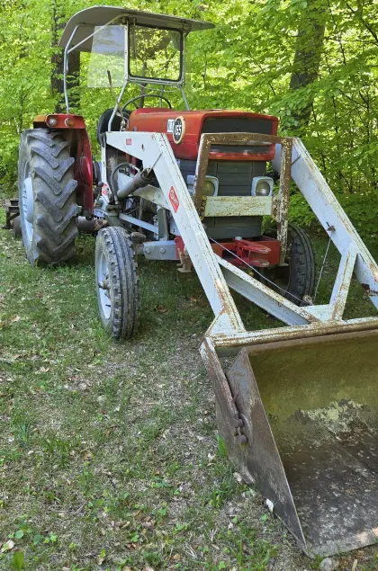 Massey Ferguson 165 mit Hauer Frontlader