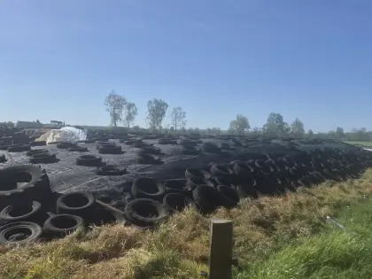 Grassilage 3./4./5. Schnitt 2024