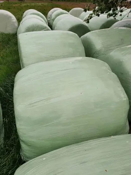 Silageballen