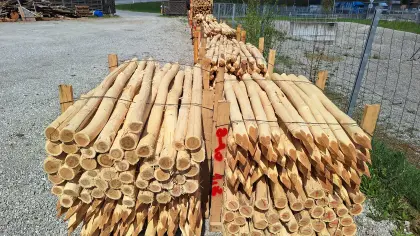 Robinienpfähle 2 m 8–10 cm, € 936,-/Palette, sofort verfügbar