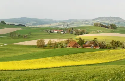 Suche Bauernhof in Waldzell oder Umgebung
