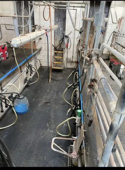 Melkstand 2 x 3 Fischgräte