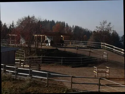 Einstellplatz/Pensionsplatz im Aktivstall
