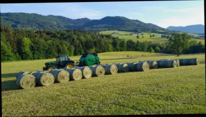 Grassilage, Maissilage, Belüftungsheu, Pferdeheu und Stroh