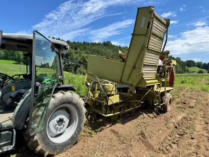 Bergmann K80 Kartoffelroder