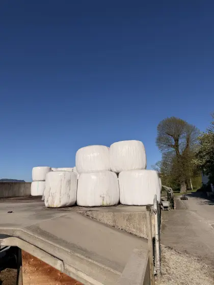 Silage zu verschenken