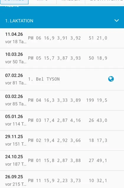 Bio Braunvieh Jungkuh mit Hörnern, dreistrichig