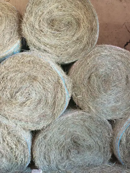 Heu Grummet 2. Schnitt