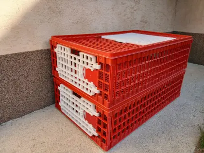 Geflügeltransportkisten, Transportbox