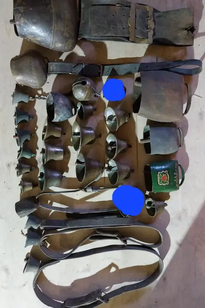 27 Stk. Kuhglocken Glocken Almabtrieb Weideglocken