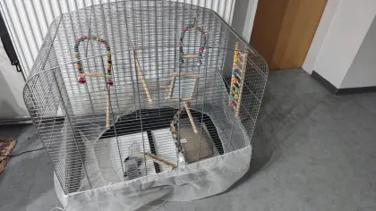Vogelkäfig