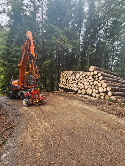 Doosan DX 210 mit Woody WH6