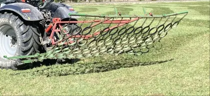 Schweiger Wiesenhexe