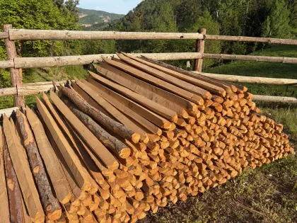 Lärchenstipfel 1,8 m