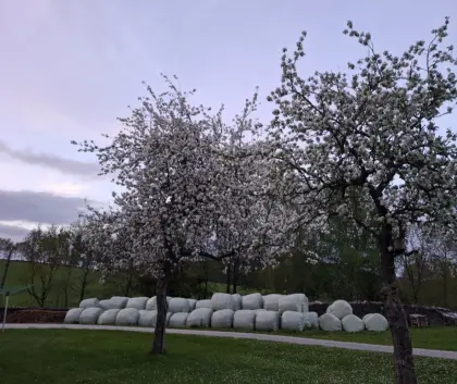 Siloballen