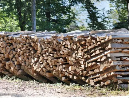 Brennholz Buche