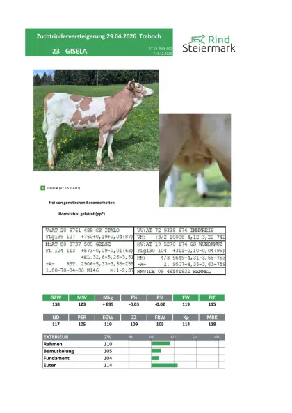 Kalb