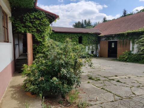Bauernhof, Pferdehof-Potenzial, nur 1 h von Wien
