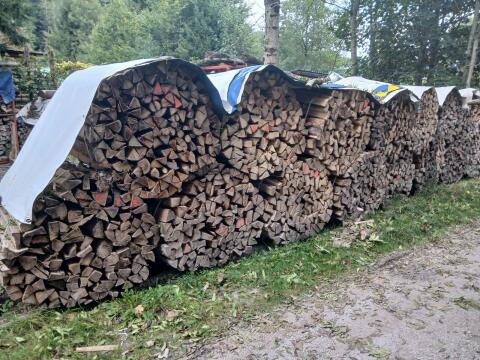 Brennholz hart