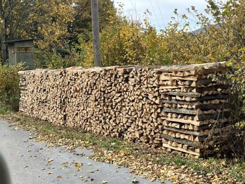 Buchenbrennholz