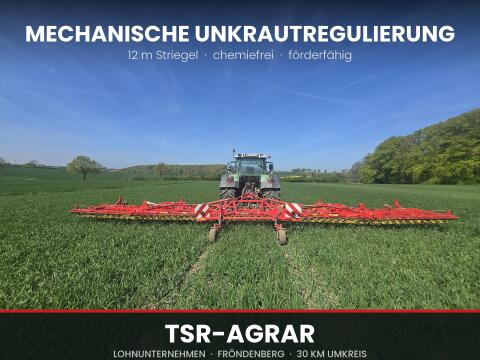 Maisstriegeln im Lohn, 12 m AB, Raum Unna