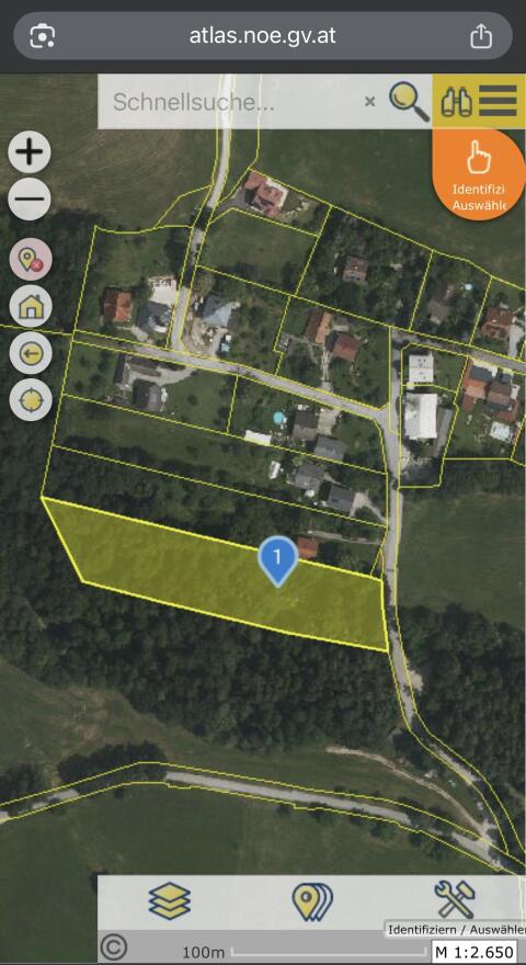 6.800 m² Wald in Traisen