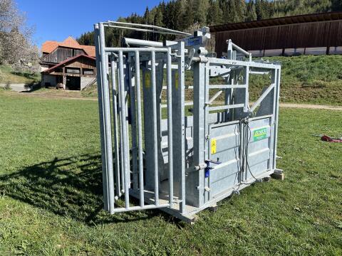Fangstand, Behandlungsstand, Klauenpflegestand, Viehwaage