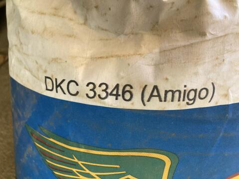 Saatgut Mais DKC 3346 (Amigo)