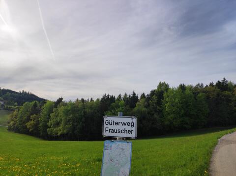 Wald in Waldzell