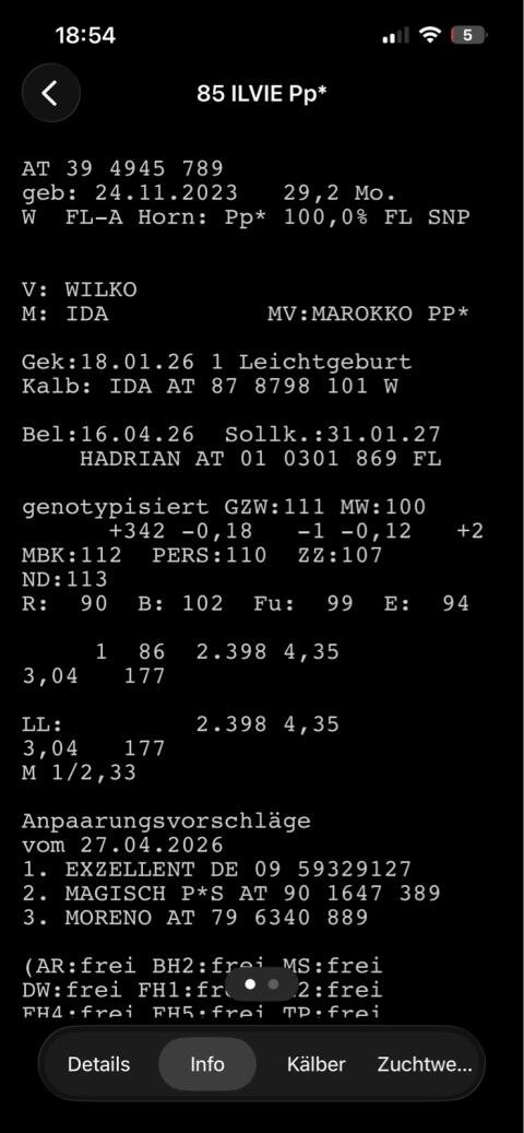Verkaufe Fleckvieh-Jungkuh in Milch