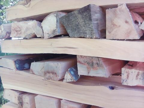 Brennholz hart 1+