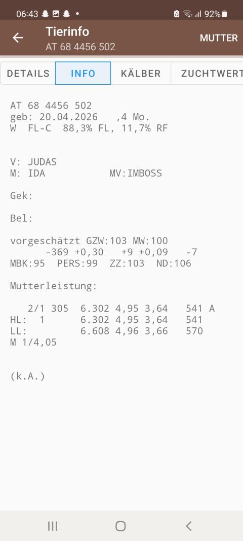 Fleckviehzuchtkälber zu verkaufen