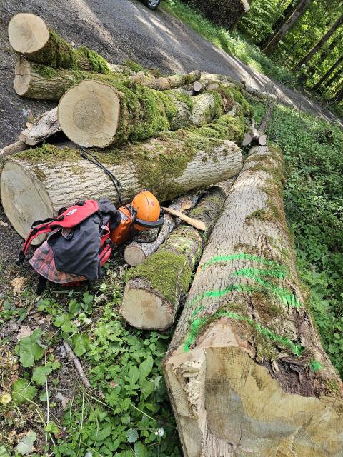 Buchenholz, Fichte, Esche 20 Raummeter