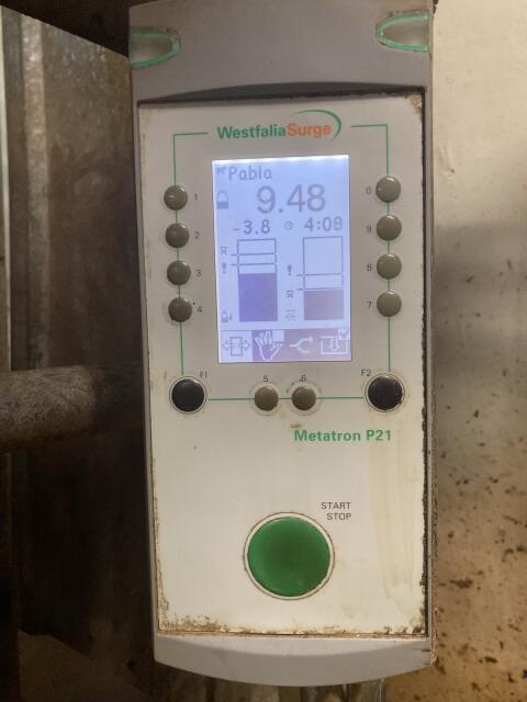 Melkstand 6er Autotandem GEA, inkl. Transponder
