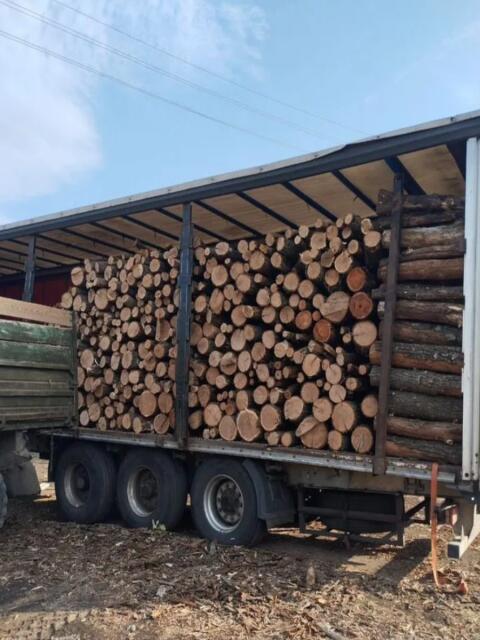 Verkaufe dringend Brennholz