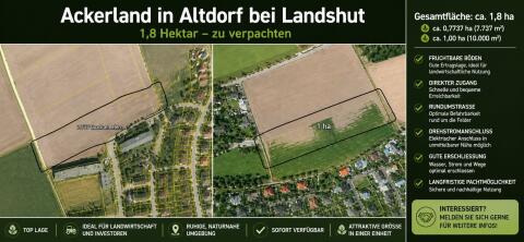 Ackerland LA/Altdorf zu verpachten, ideal für Sonderkulturen
