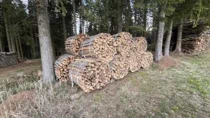 Buchenscheitholz
