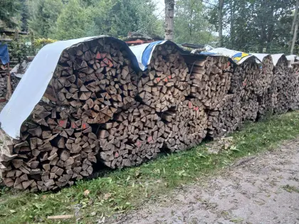 Brennholz hart