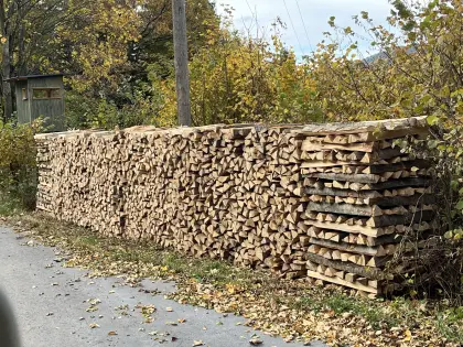 Buchenbrennholz