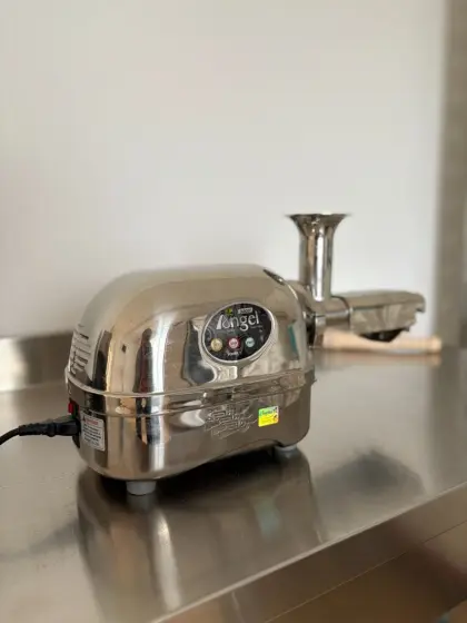 Angel Juicer 8500S