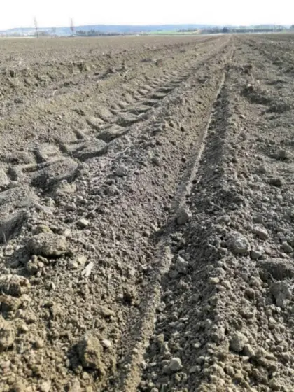 Pachtflächen