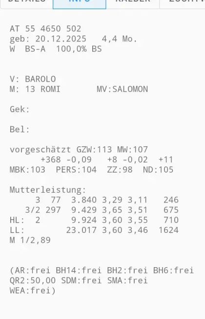 Braunvieh-Nachzucht zu verkaufen