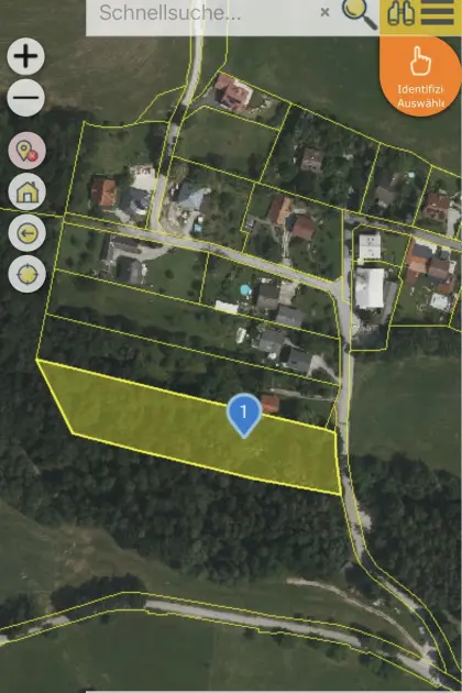 6.800 m² Wald in Traisen