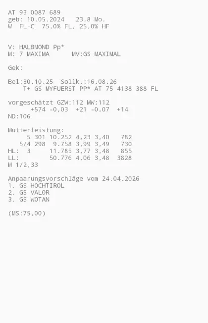 BIO FV und RF Kalbinnen hornlos